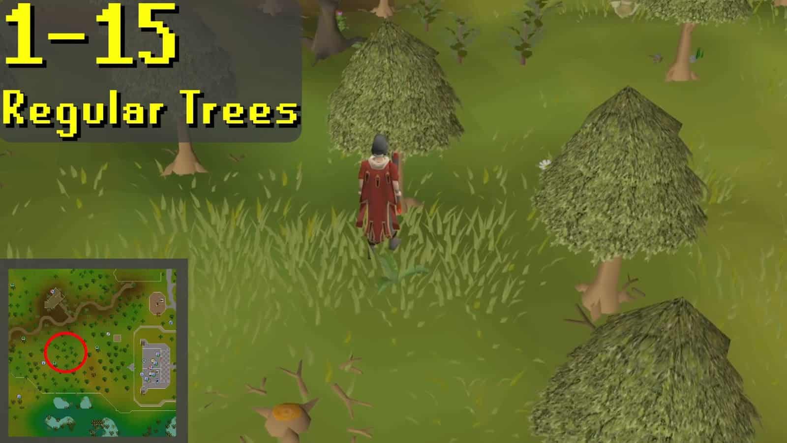 OSRS 1-99 Thieving Guide (Fastest & Profitable Methods)